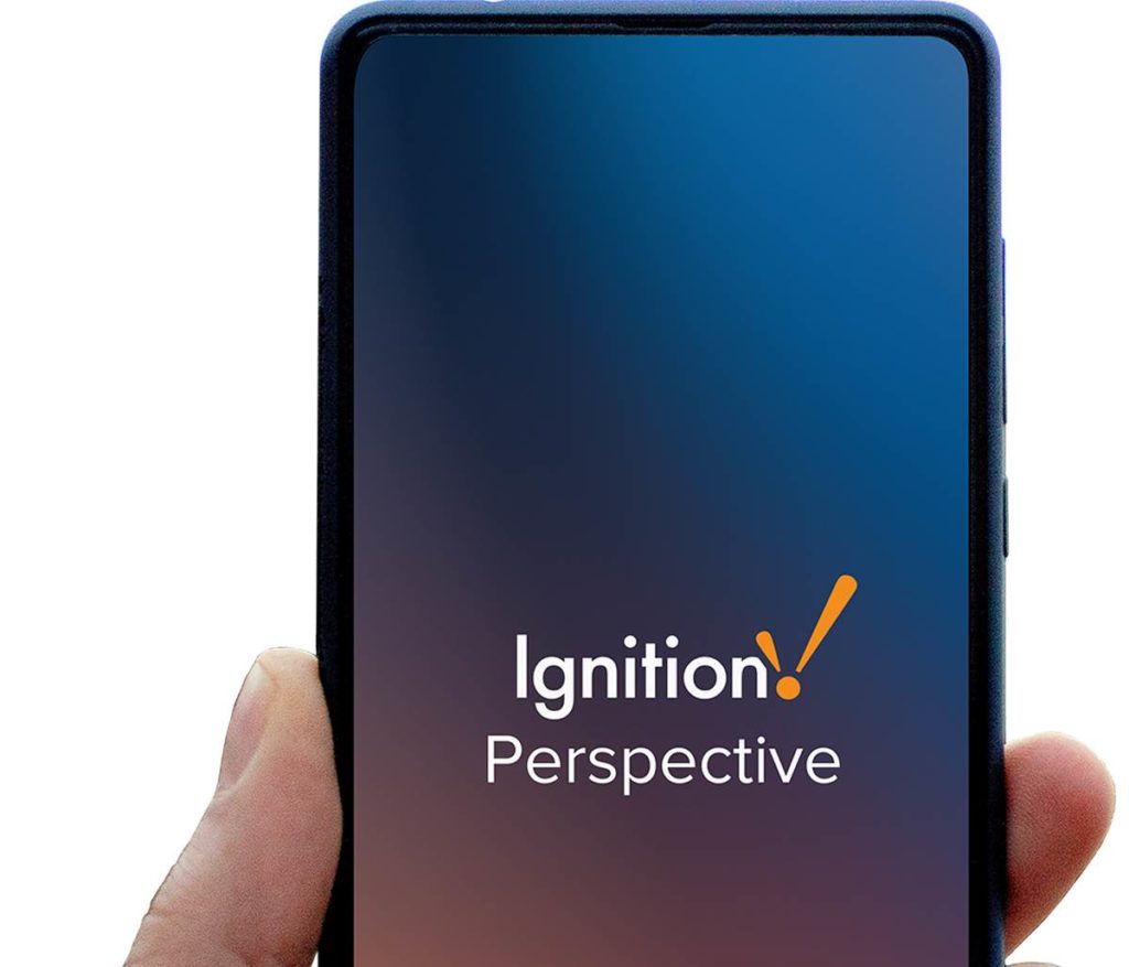 IGNITION 8 software Vesta Engineering